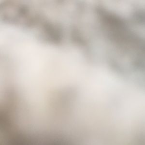 Meet your Posher, Lucero